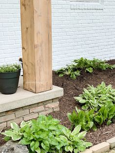 some plants are growing in the flower bed next to a white brick wall and door