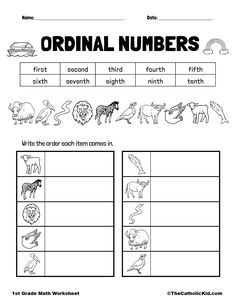 the worksheet for beginning with numbers to be used as a printable activity