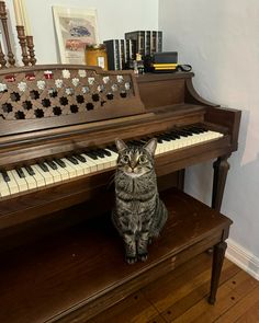 a cat sitting on top of a piano