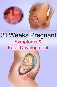 the pregnant belly and her baby's stomach are shown in this graphic above it