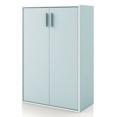 a tall blue cabinet with two doors