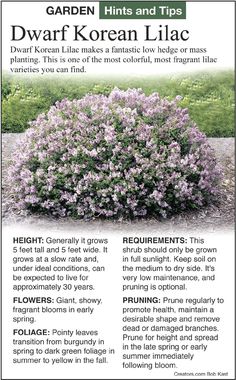 the front page of garden hints and tips with information on how to use it for landscaping