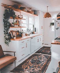 a kitchen with lots of plants and rugs on the counter top in front of it