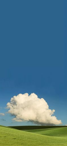 a lone tree in the middle of a green field under a blue sky with white clouds