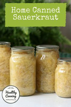 four jars filled with sauerkraut sitting on top of a counter next to a plant