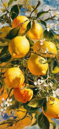 a painting of lemons and white flowers on a branch with blue sky in the background