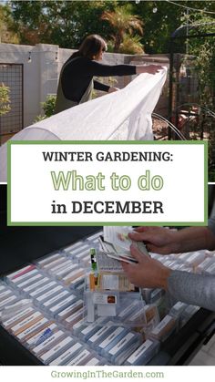 two people are picking up items from a table with text overlay that reads winter gardening what to do in december