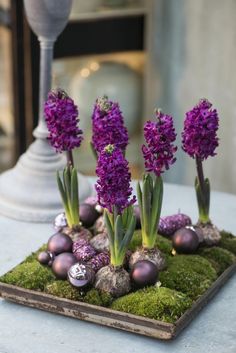 purple flowers are in the middle of moss on a tray with eggs and other decorations