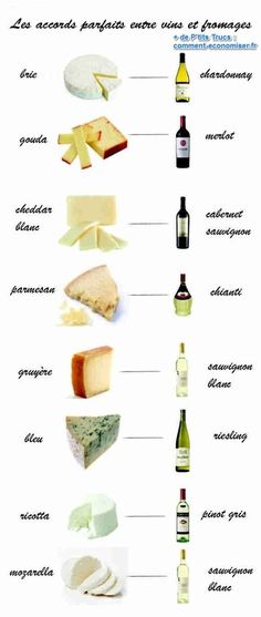 an image of different types of cheese