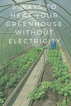 a greenhouse with plants growing inside and the words 5 ways to heal your greenhouse without electricity