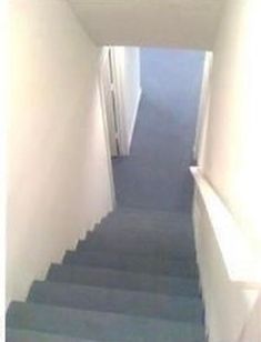 an empty hallway with blue carpet and white walls