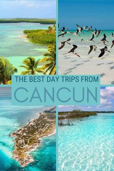 the best day trips from cancun