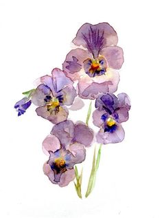 some purple flowers are in a vase on a white table top with watercolors