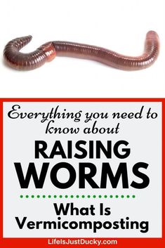 a worm on top of a sign that says, everything you need to know about raising worms