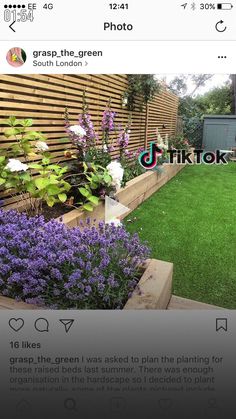 an instagram page with purple flowers and green grass