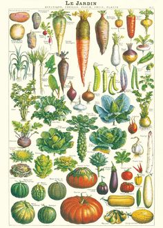 an illustration of various vegetables on a white background with the words le jardin written in french