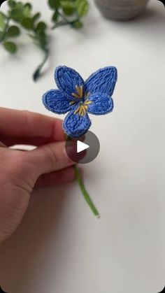 a person holding a blue flower on top of a table