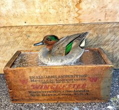 a mallard duck sitting on top of a wooden box that says williams's annuition