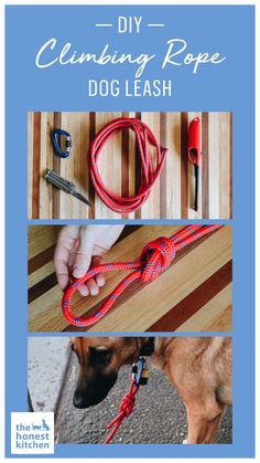 a dog leash with the words diy cleaning rope on it and an image of a dog