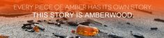 Every piece of amber has its own story. This story is Amberwood. Organic Shapes, Fascinator, Amber