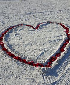 a heart made out of red flowers in the snow