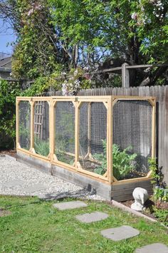 an outdoor garden area with various plants in the fence and on the ground next to it