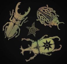 four different bugs on a black background with an image of a star in the middle