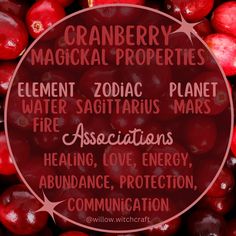 Willow Witchcraft Cranberry Magical Properties, Cardamom Magical Properties, Witchy Plants, Plant Symbolism, Kitchen Witchcraft, Magic Food, Herbal Witch, Spell Bottles, Astrology Meaning