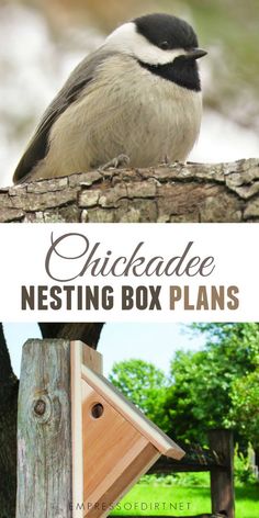 a chickade nesting box plans is shown with the title above it and an image of a birdhouse