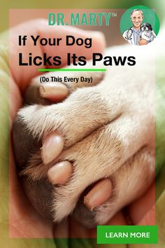 a person holding a dog's paw with the caption if your dog licks its paws do this every day