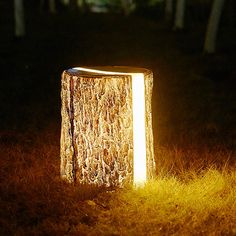 a light that is on in the grass