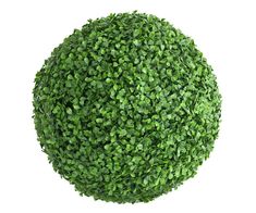 the top view of a ball shaped bush