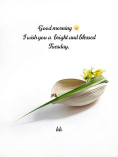 a flower that is sitting on top of a white surface with the words good morning, i wish you a bright and beloved tuesday