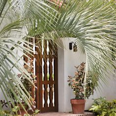 a potted plant sitting in front of a door on the side of a building