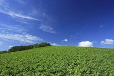 a green field under a blue sky with clouds