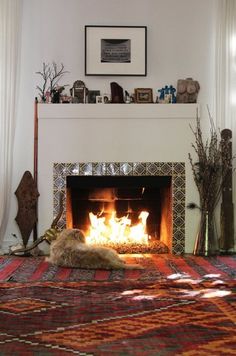 a cat is sitting in front of a fire place