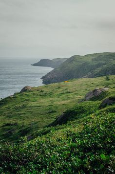 a grassy hill overlooking the ocean on a cloudy day with green grass and bushes in front of it