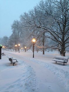 a snowy park with benches and street lights