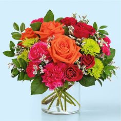 a vase filled with red, orange and green flowers on top of a blue background