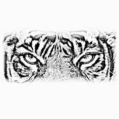 a black and white photo of a tiger's face