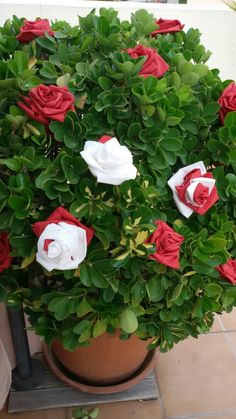 a potted plant with red and white flowers on the outside, in front of a tiled floor