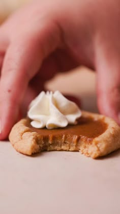 making pumpkin pie cookies from scratch Pie Videos, Fall Cookie Decorating, Pumpkin Pie Cookie, Pumpkin Cookies Recipe, Pumpkin Pie Bites, Mini Pumpkin Pie, Halloween Pumpkin Cookies, Creamy Pumpkin Pie, Autumn Cookies