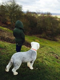 a person standing on top of a lush green field next to a dog wearing a red collar