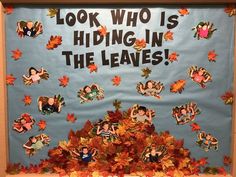 Activity Director Look Who’s Hiding In The Leaves Bulletin Board, Acorn Bulletin Board Preschool, Fall Board Decorations, Early Childhood Education Bulletin Board, Fall Theme Boards Preschool, Pre K Fall Bulletin Board Ideas, Fall Bulliten Board Preschool, November Teacher Bulletin Board, Autum Board Preschool