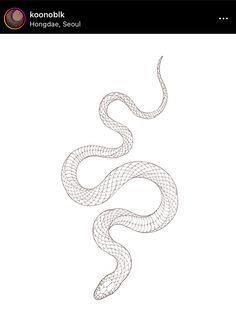 a drawing of a snake on a white background