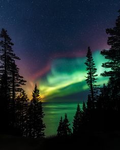 an aurora bore is seen in the night sky above pine trees and lake with stars