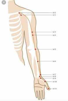 Lung Meridian, Pressure Point Therapy, Japanese Sleeve Tattoos, Japanese Sleeve, Energy Medicine