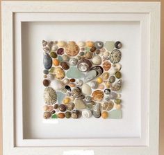 a white frame with sea shells in it