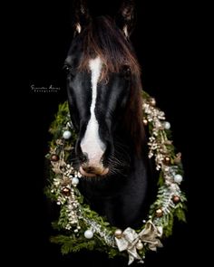 a black and white horse wearing a wreath