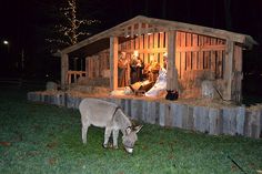 a donkey eating hay in front of a christmas nativity scene with people and animals